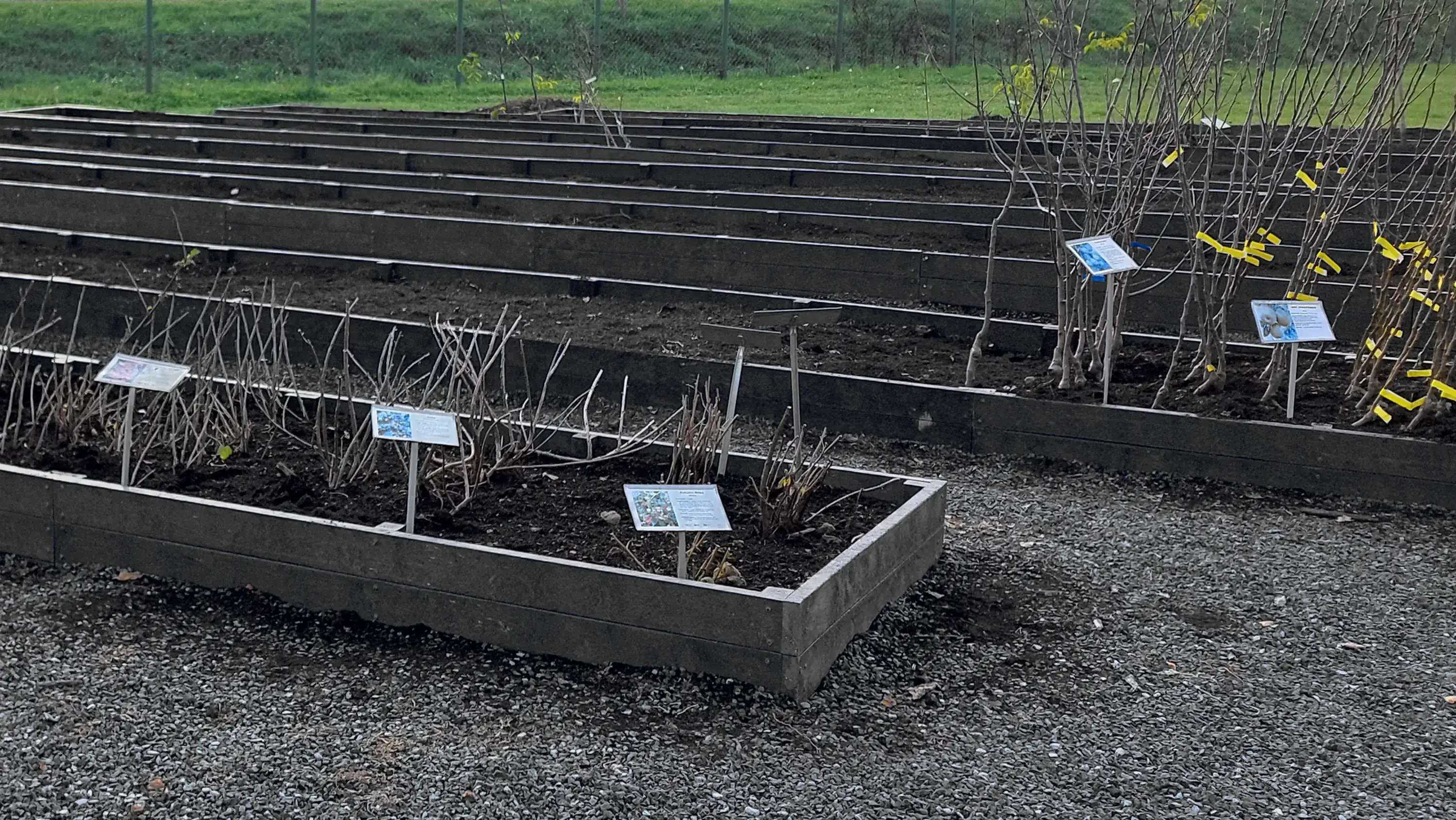 Outdoor Park & Walkway Installation
